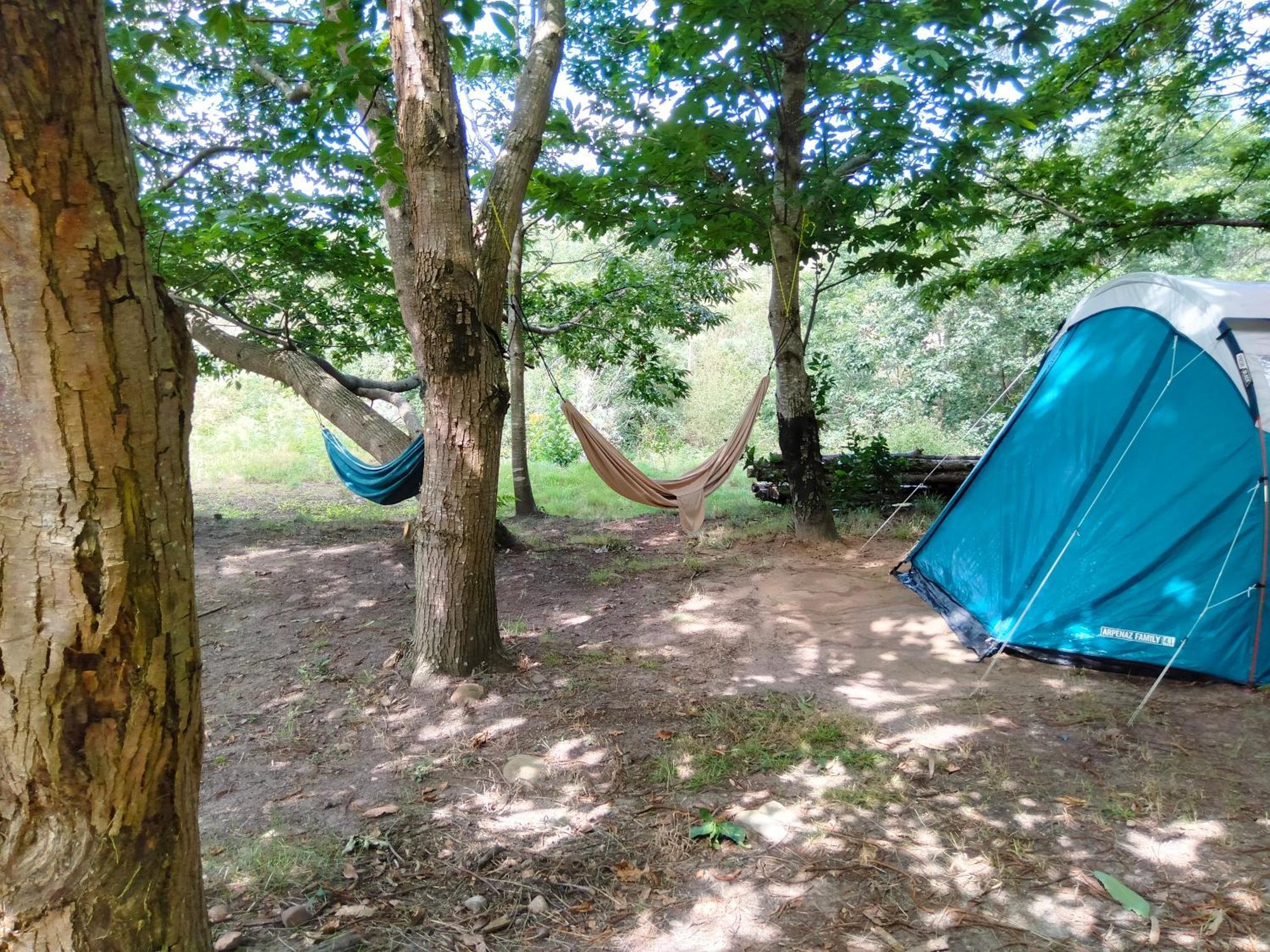 La Finca - Campamento En La Naturaleza Caranceja Bilik gambar