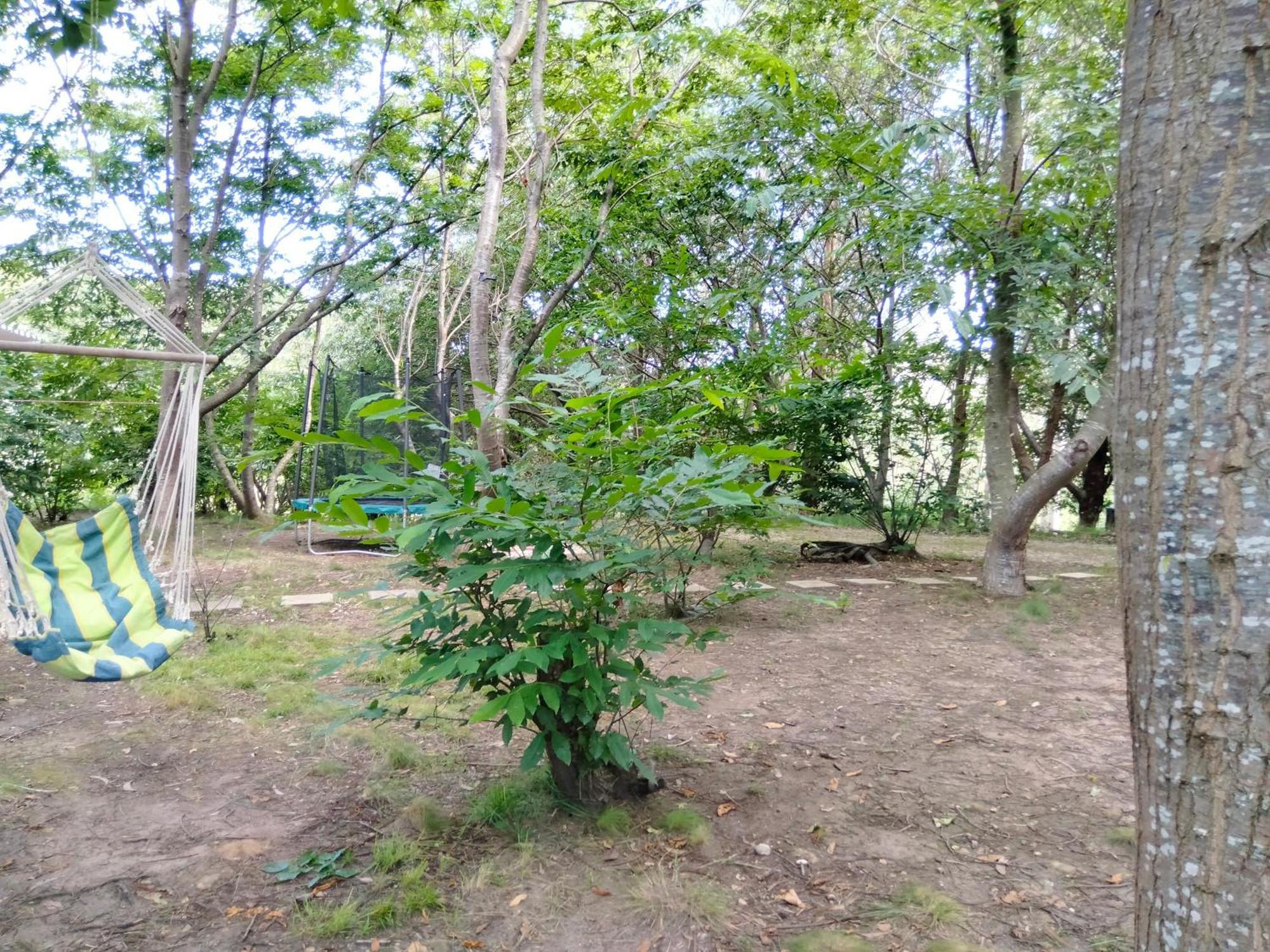 La Finca - Campamento En La Naturaleza Caranceja Bilik gambar